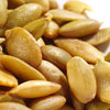 Semillas calabaza